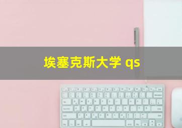 埃塞克斯大学 qs